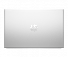 HP PROBOOK 450 G10 (816P1EA)