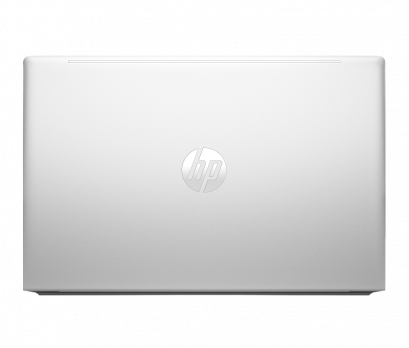 HP PROBOOK 450 G10 (816P1EA)