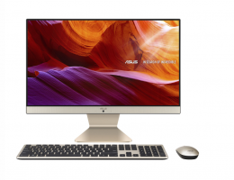 ASUS VIVO V222FAK-BA085W