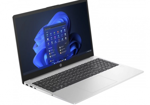 HP 250 G10 (725G7EA)