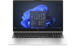 HP 250R G10 (C78E6AT)