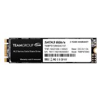 TEAM GROUP MS30 256GB
